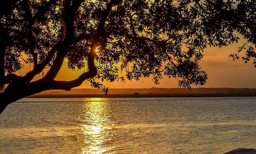 Comoe National Park, Northeastern Côte d'Ivoire, Côte d'Ivoire